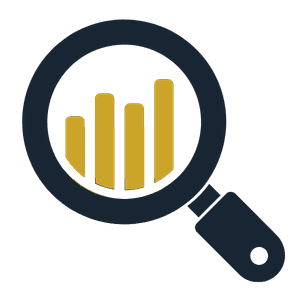 Step 2. Audit and diagnosis of your business