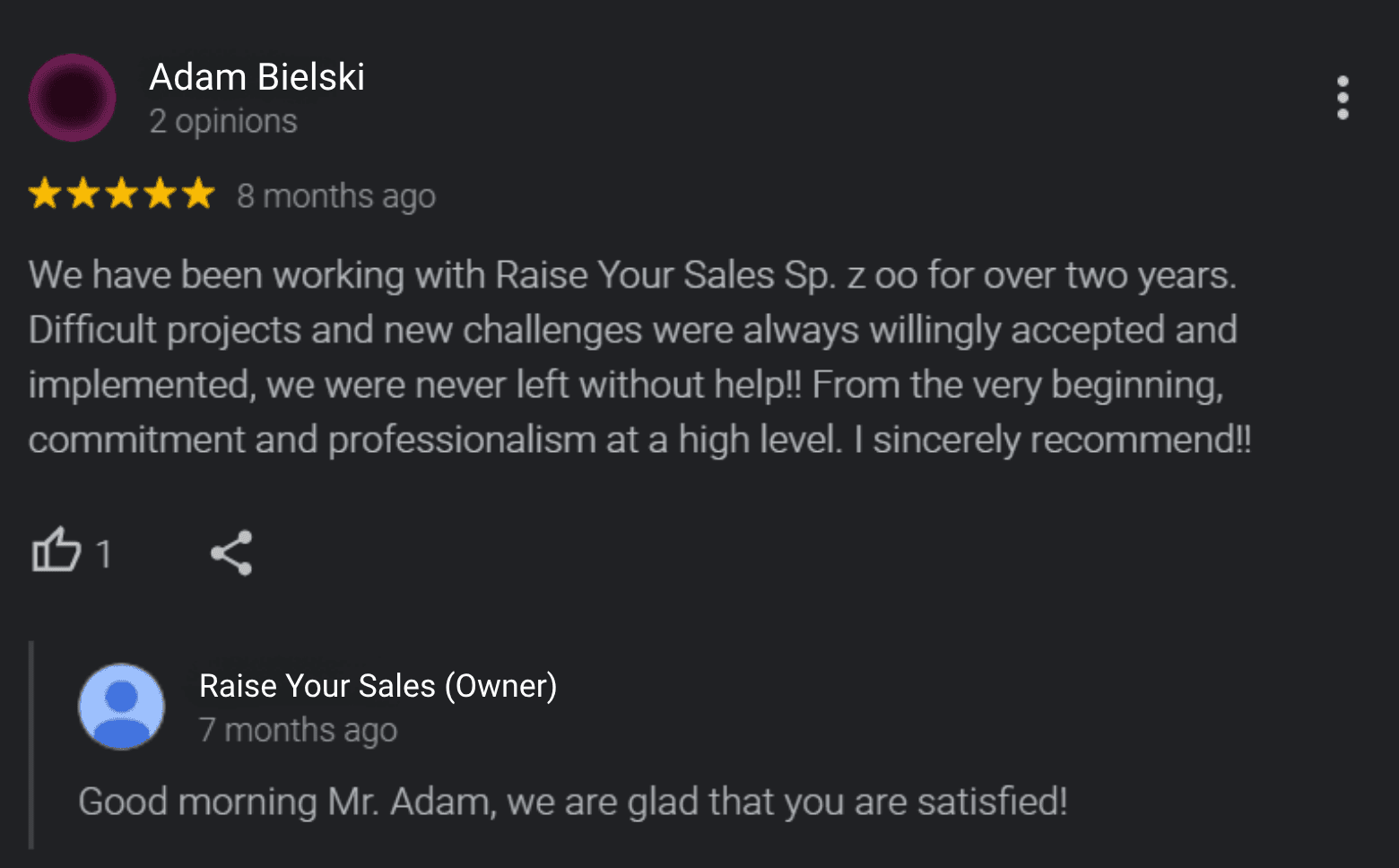 Google review from the SuperProfile brand about working with Raise Your Sales