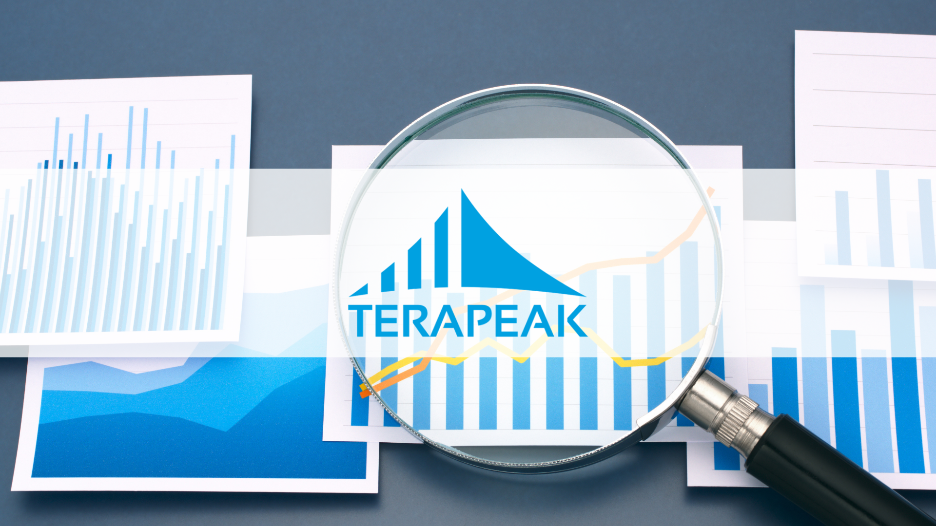 Terapeak logo in the lens of a magnifying glass over bar charts and trend lines – researching demand on eBay