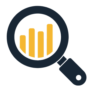 Step 2. Audit and process design