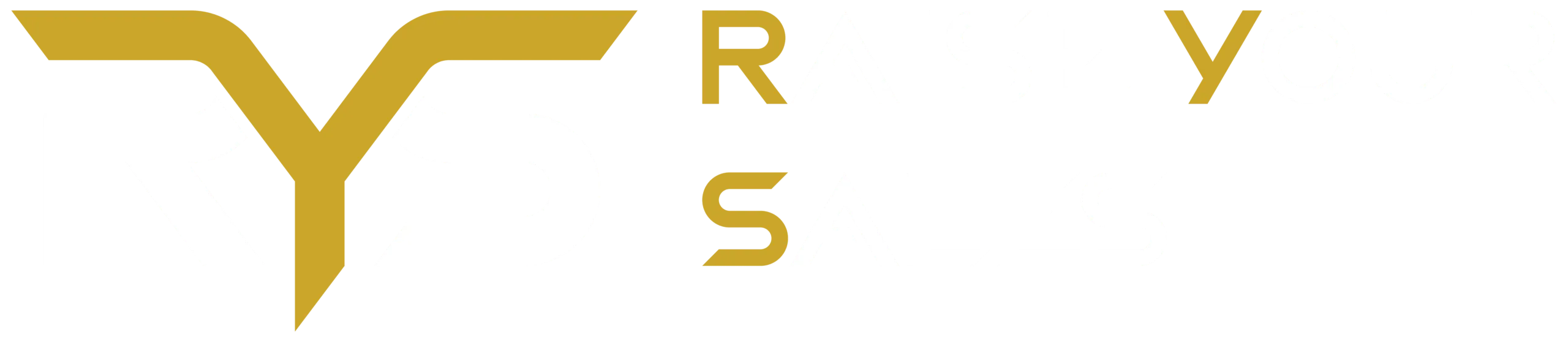 Marketplace Agency Raise Your Sales